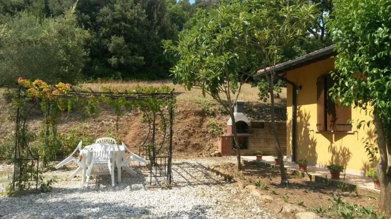 Podere Mammoleta Fattoria la Marsiliana Esterno foto