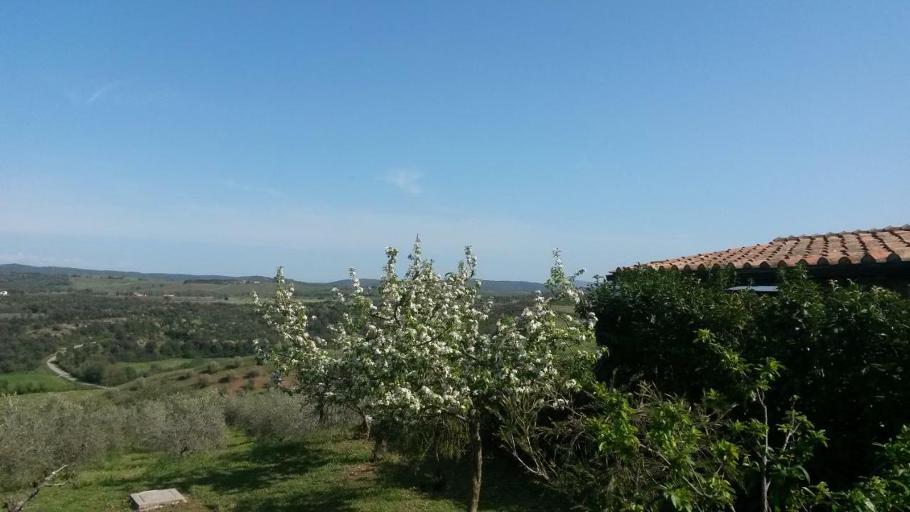 Podere Mammoleta Fattoria la Marsiliana Esterno foto