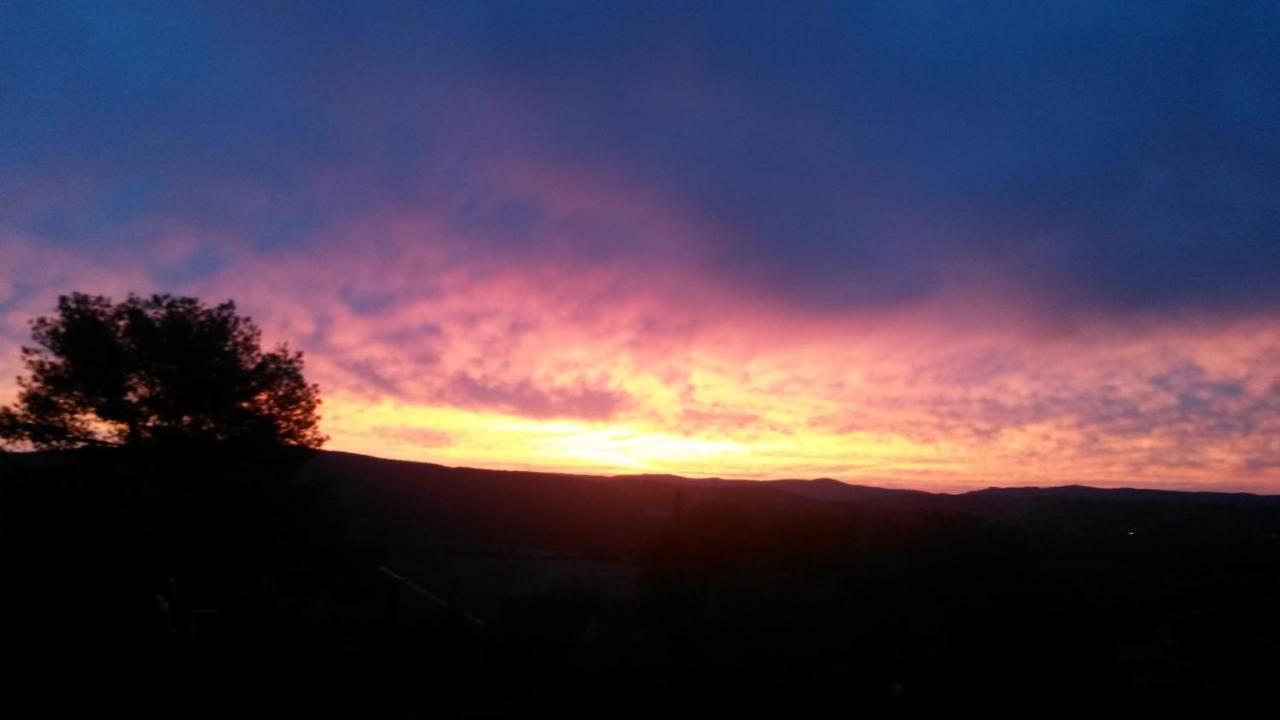 Podere Mammoleta Fattoria la Marsiliana Esterno foto